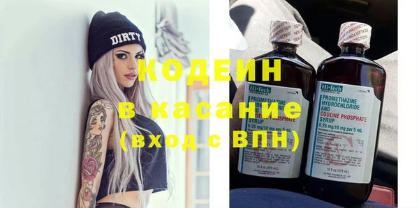шишки Белокуриха