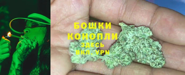 шишки Белокуриха