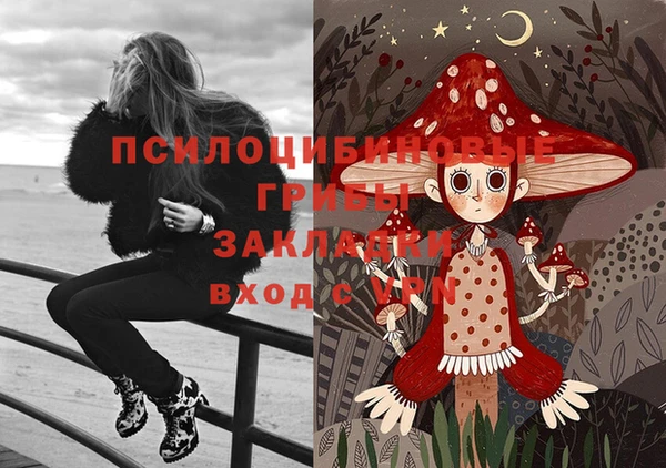 молекула духа Баксан