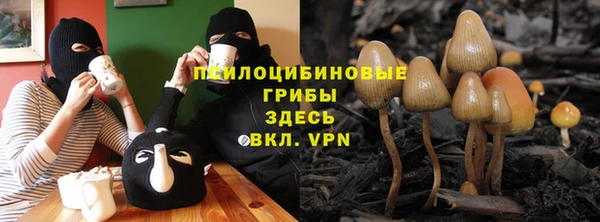 ГАЛЛЮЦИНОГЕННЫЕ ГРИБЫ Белоозёрский