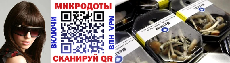 наркотики  Верхняя Тура  Псилоцибиновые грибы Cubensis 